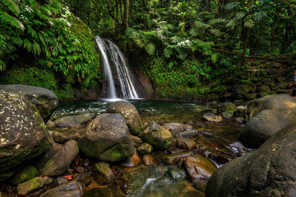 Pure nature, a waterfall with a pool in the forest. The Ecrevisses waterfalls, Cascade aux