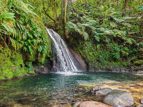Pure nature, a waterfall with a pool in the forest. The Ecrevisses waterfalls, Cascade aux