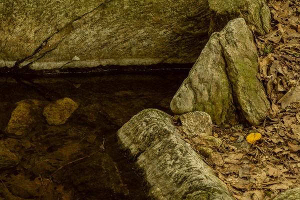 Pool of still water surrounded by large boulders and leaves and stone wall in the background in