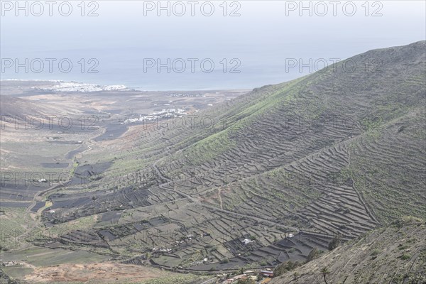 Agriculture terraced landscape seen from the Mirador del Guinate, Haria, Lanzarote, Canary Islands,