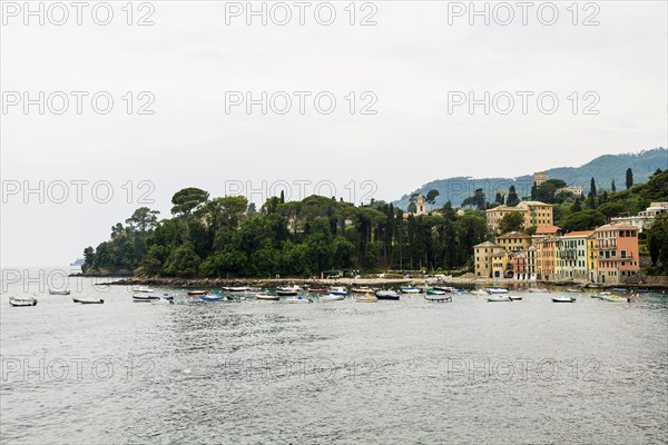 Village with colourful houses by the sea, San Michele di Pagana, Rapallo, Italian Riviera, Liguria,