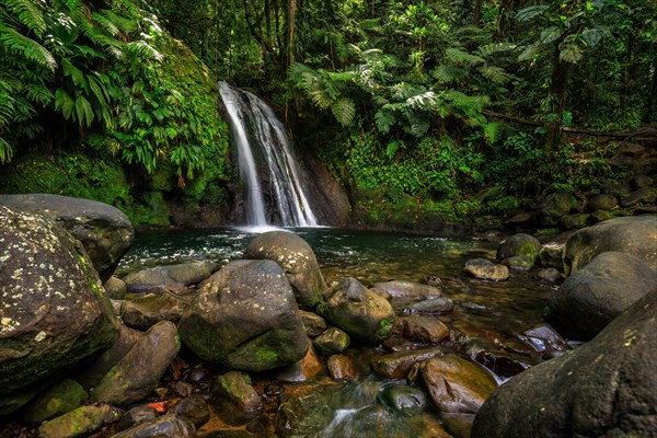Pure nature, a waterfall with a pool in the forest. The Ecrevisses waterfalls, Cascade aux