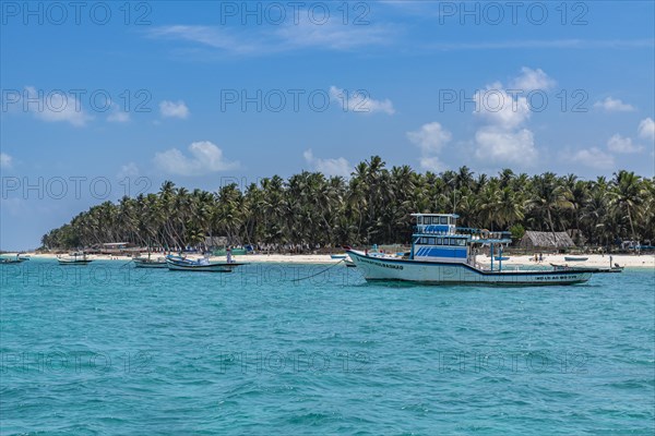 Little boats before a palm fringed white sand beach, Agatti Island, Lakshadweep archipelago, Union