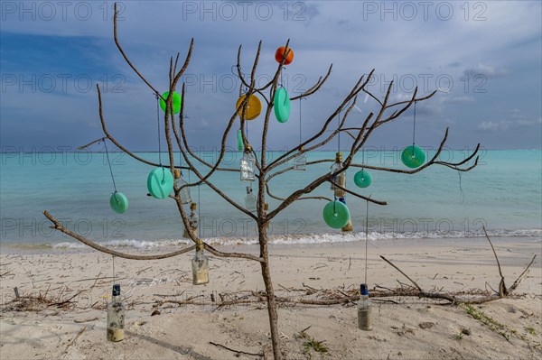 Plastic art on a tree, white sand beach, Tinnakara island, Lakshadweep archipelago, Union territory