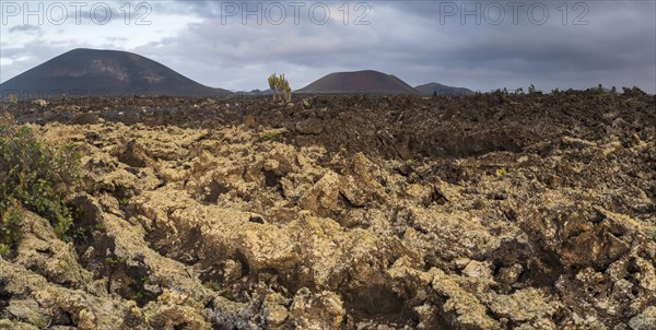 Caldera Colorada, Parque Natural de Los Volcanes, Masdache, Lanzarote, Canary Islands, Spain,