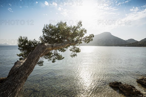 Platja Formentor, Cape Formentor, Port de Pollenca, Serra de Tramuntana, Majorca, Majorca, Balearic