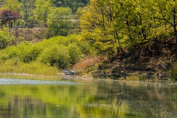 Landscape of river bank with trees and bushes on the riverbank and a small boat next to bank in