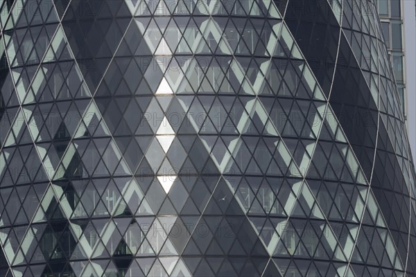 The Gherkin skyscraper building close up of window details with a Herring gull (Larus argentatus)