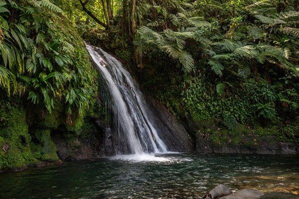 Pure nature, a waterfall with a pool in the forest. The Ecrevisses waterfalls, Cascade aux