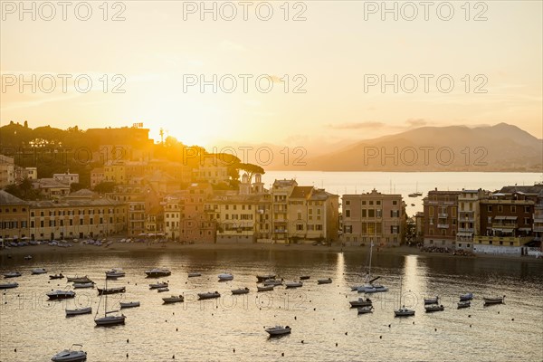 Village with colourful houses by the sea, sunset, Baia del Silenzio, Sestri Levante, Province of