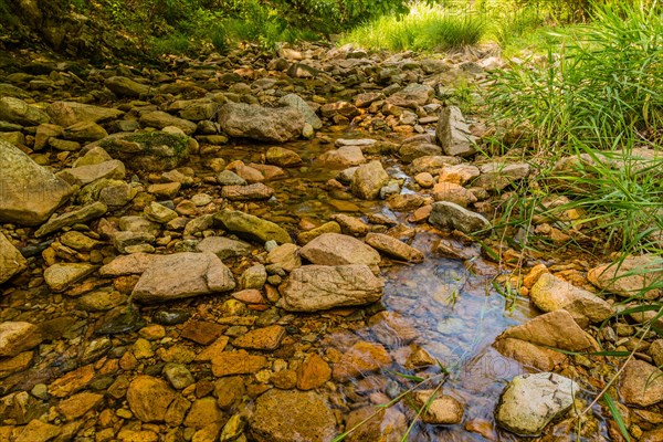 A shallow streambed with clear water running over multicolored rocks and lush greenery on the