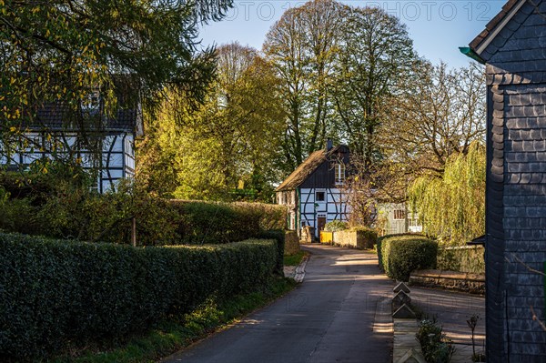 A quiet village street with traditional half-timbered houses on a sunny spring day, Schee,