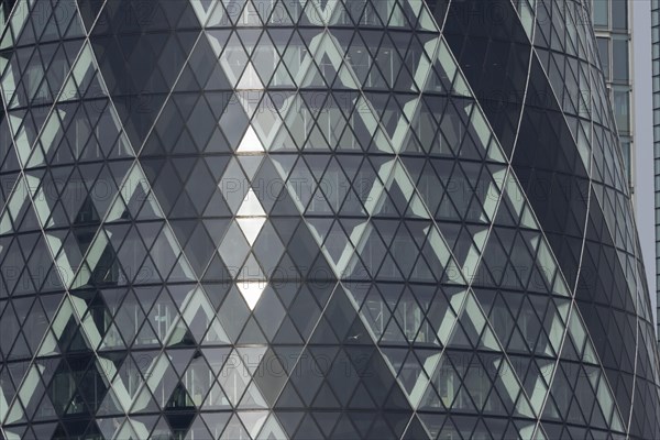 The Gherkin skyscraper building close up of window details with a Herring gull (Larus argentatus)