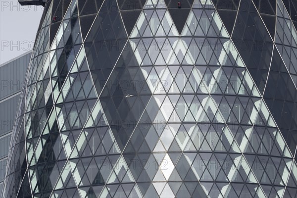 The Gherkin skyscraper building close up of window details with a Herring gull (Larus argentatus)