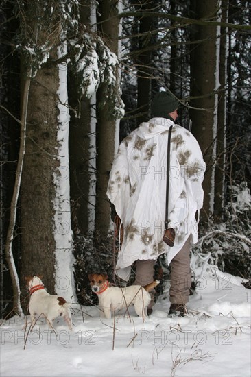 Hunter in winter with snow shirt and hunting dogs Jack Russell Terrier, Allgaeu, Bavaria, Germany,