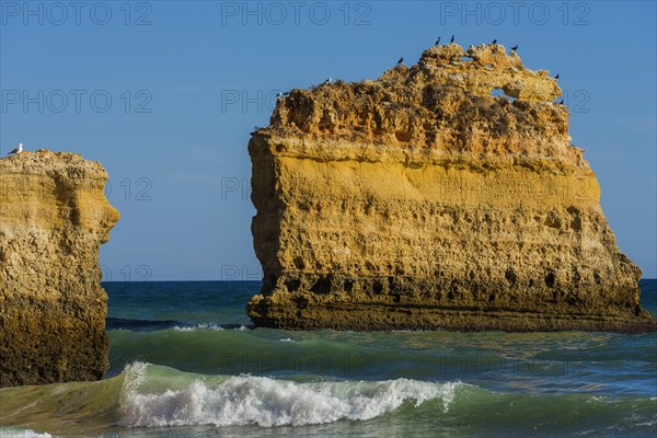 Beach, beach area in the Algarve, summer holiday, weather, sunny, Atlantic, beach, beach holiday,