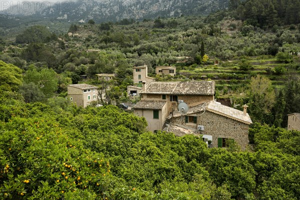 Village in the mountains with citrus plantations, Fornalutx, Soller, Serra de Tramuntana, Majorca,