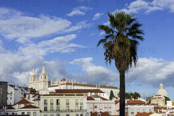 View of the Alfama, city view, tourism, travel, city trip, urban, building, historic, old town,