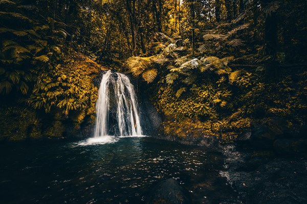 Pure nature, a waterfall with a pool in the forest. The Ecrevisses waterfalls, Cascade aux