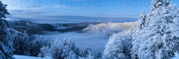 Winter on the Feldberg in front of sunrise, Breisgau-Hochschwarzwald district, Baden-Wuerttemberg,