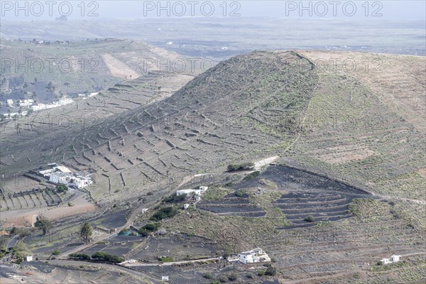 Agriculture terraced landscape seen from the Mirador del Guinate, Haria, Lanzarote, Canary Islands,