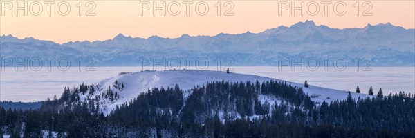 View from the Feldberg over the Herzogenhorn to the Swiss Alps, in front of sunrise,