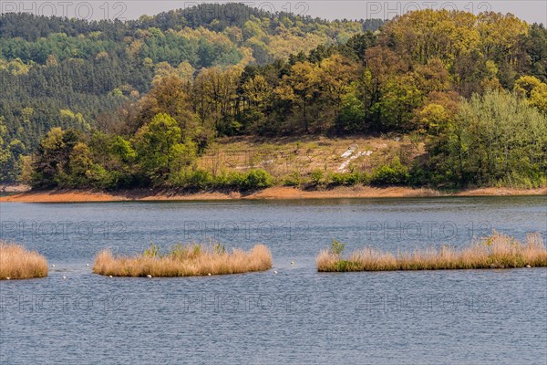 Landscape of lake with three small islands in the middle of lake and shoreline with a small