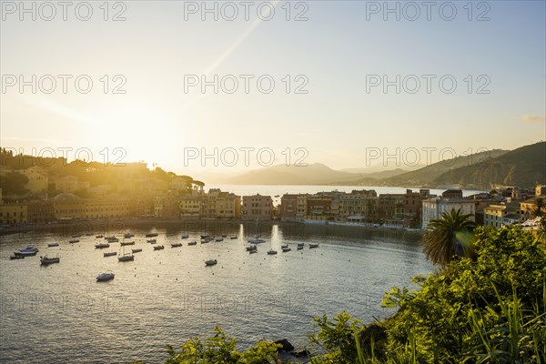 Village with colourful houses by the sea, sunset, Baia del Silenzio, Sestri Levante, Province of