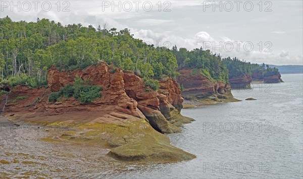 Seashore, wooded cliffs, red sandstone, Five Islands Provincial Park, Fundy Bay, Nova Scotia,
