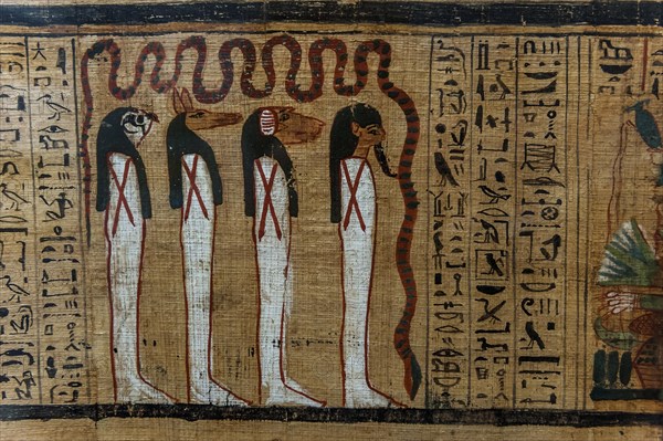 Hieroglyphs on papyrus, message, drawing, Egyptian, kingdom, antiquity, world history, history,