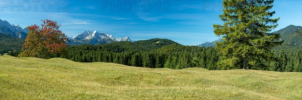 Humpback meadows between Mittenwald and Kruen, Werdenfelser Land, behind it the Zugspitze, 2962m,