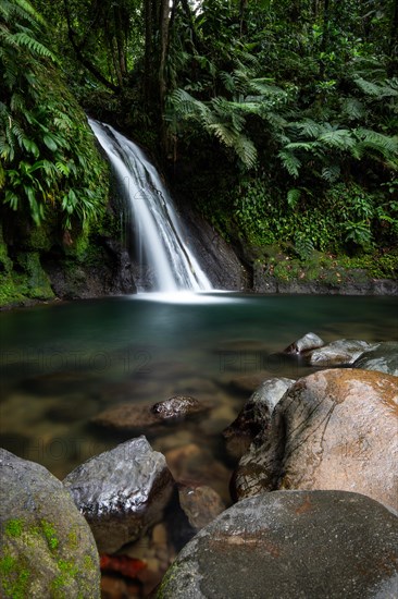 Pure nature, a waterfall with a pool in the forest. The Ecrevisses waterfalls, Cascade aux