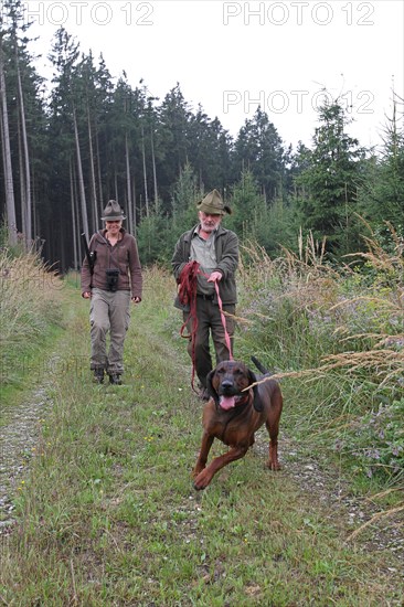 Huntsman and huntress, accompanied by hunting dog Bavarian Mountain Hound, Allgaeu, Bavaria,