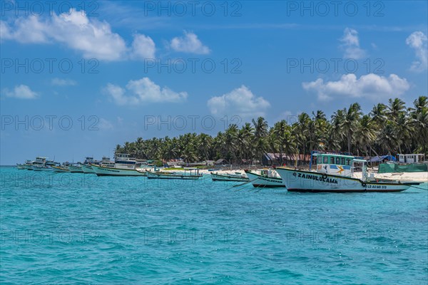 Little boats before a palm fringed white sand beach, Agatti Island, Lakshadweep archipelago, Union