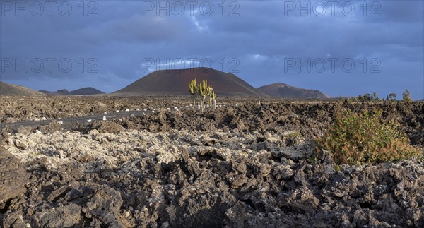 Caldera Colorada, Parque Natural de Los Volcanes, Masdache, Lanzarote, Canary Islands, Spain,