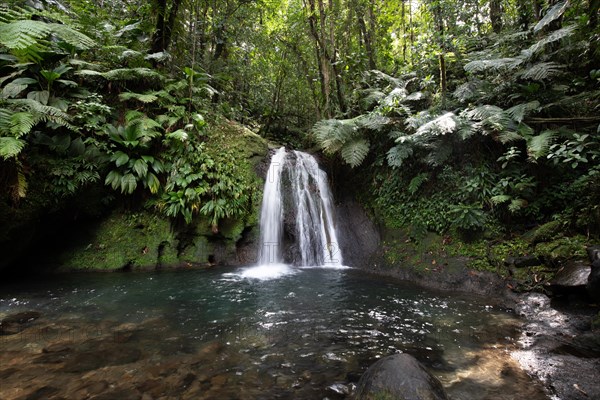 Pure nature, a waterfall with a pool in the forest. The Ecrevisses waterfalls, Cascade aux