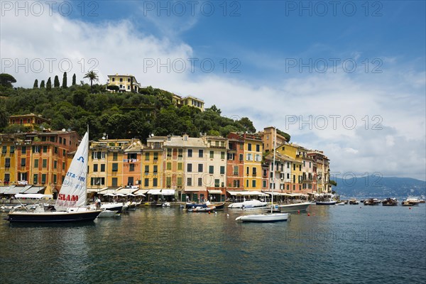 Village with colourful houses and harbour by the sea, Portofino, Province of Genoa, Liguria, Italy,