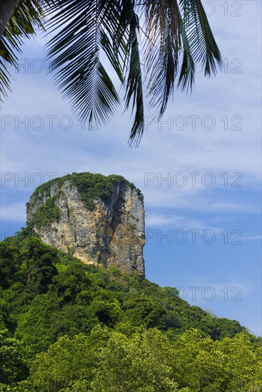 Limestone cliffs at Railay Beach, limestone, limestone cliffs, travel, holiday, tourism, nature,