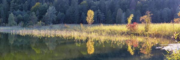 Autumn at Schwansee, near Hohenschwangau, Romantic Road, Ostallgaeu, Bavaria, Germany, Europe