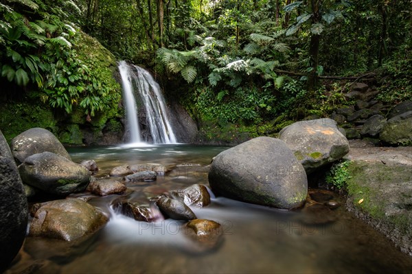 Pure nature, a waterfall with a pool in the forest. The Ecrevisses waterfalls, Cascade aux