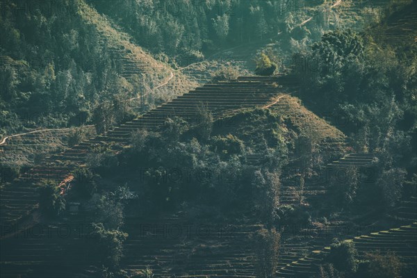 Dark and moody cinematic scenic of traditional terraced rice paddy in Lao Cai in Sa pa, Vietnam,