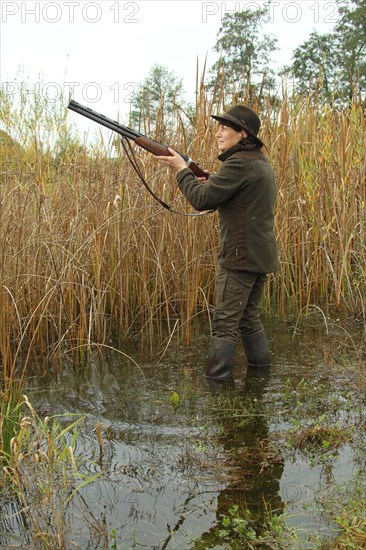 Huntress standing in the water, waiting eagerly for approaching mallards (Anas platyrhynchos) on