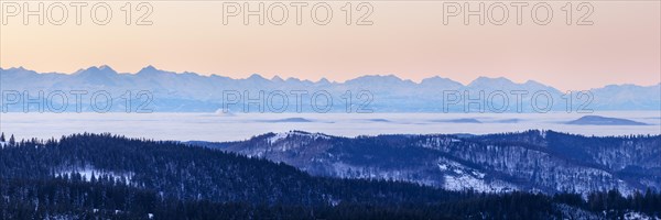 View from the Feldberg over the Herzogenhorn to the Swiss Alps, in front of sunrise,