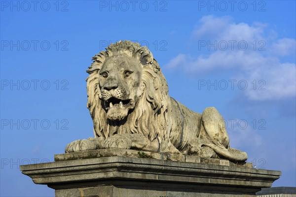 Lion of the Chain Bridge, travel, city trip, tourism, Eastern Europe, architecture, building,