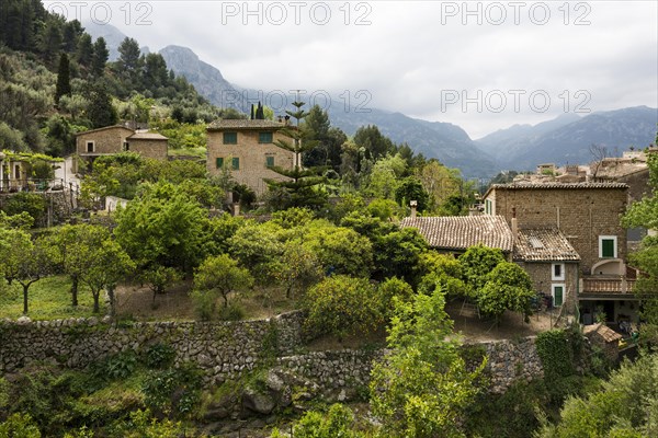 Village in the mountains with citrus plantations, Fornalutx, Soller, Serra de Tramuntana, Majorca,