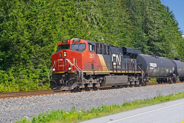 Locomotive and some wagons of the CN Railway, Yellowhead Highway, British Columbia, Canada, North