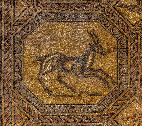 Basilica of Aquileia from the 11th century, largest floor mosaic of the Western Roman Empire,
