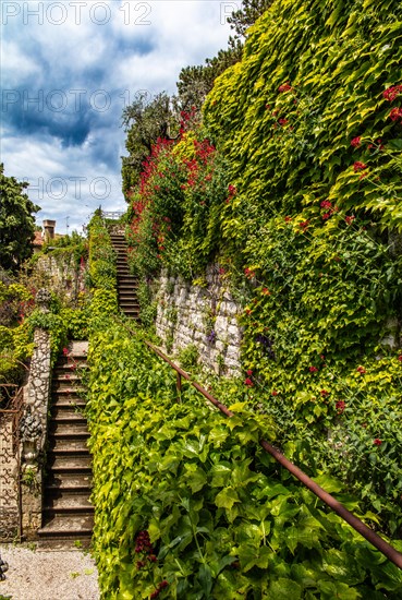 Castle garden, Duino Castle, with spectacular sea view, private residence of the Princes of Thurn