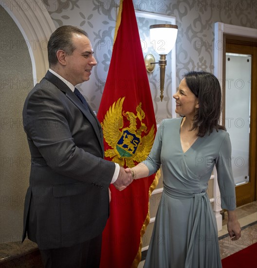 Annalena Baerbock (Alliance 90/The Greens), Federal Foreign Minister, photographed during her visit