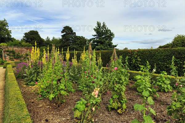 Down House Garden, garden at the home of the British naturalist Charles Darwin, Downe, Kent,